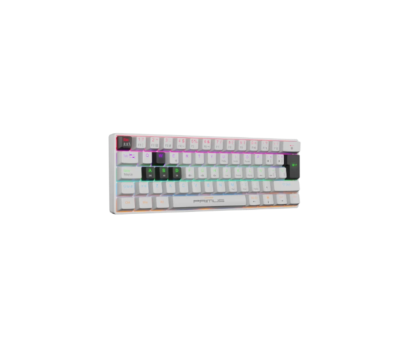 TECLADO_PRIMUS_BALLISTA_61T TECLADO_PRIMUS_BALLISTA_61T